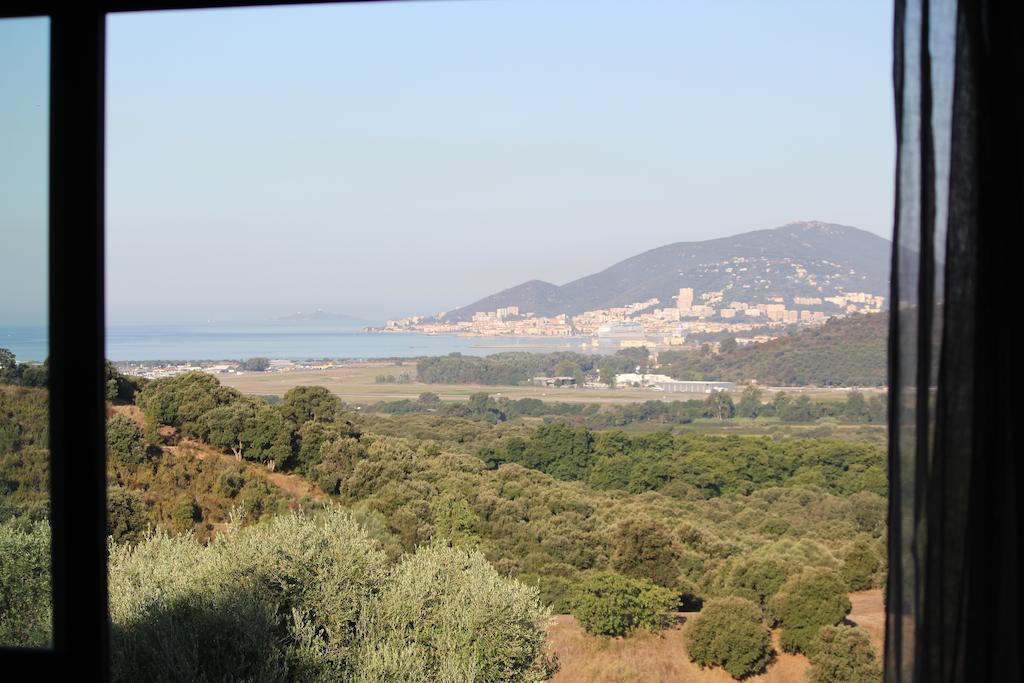 Bastelicaccia勒威克思彻耐旅馆住宿加早餐旅馆 外观 照片
